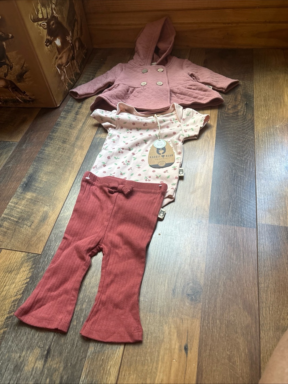 Rabbit + Bear organic 3-piece outfit girl size 0-3 months (NWT)